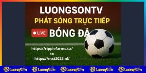 luongsontv đổi tên miền